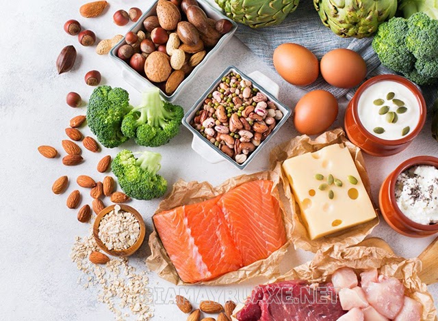 Các thực phẩm giàu protein cho cơ thể